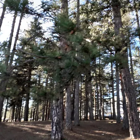 Apartamento Markovic Zlatibor