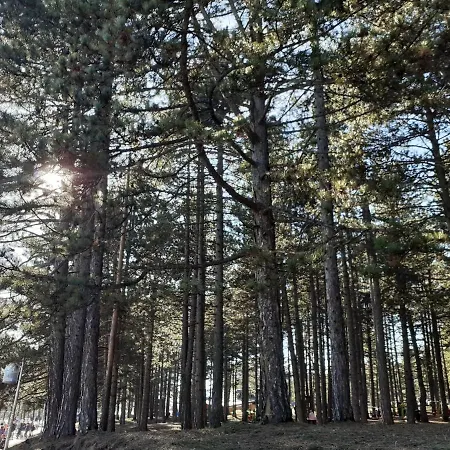 Markovic Lägenhet *