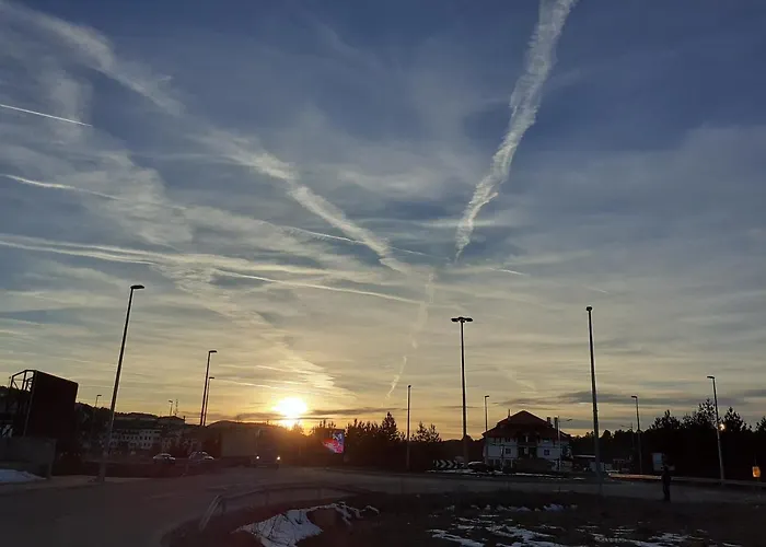 Markovic * Златибор