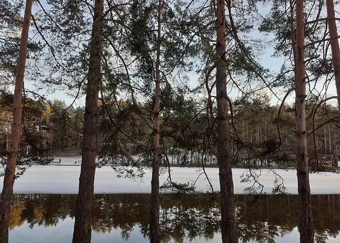 Markovic Апартаменты Златибор