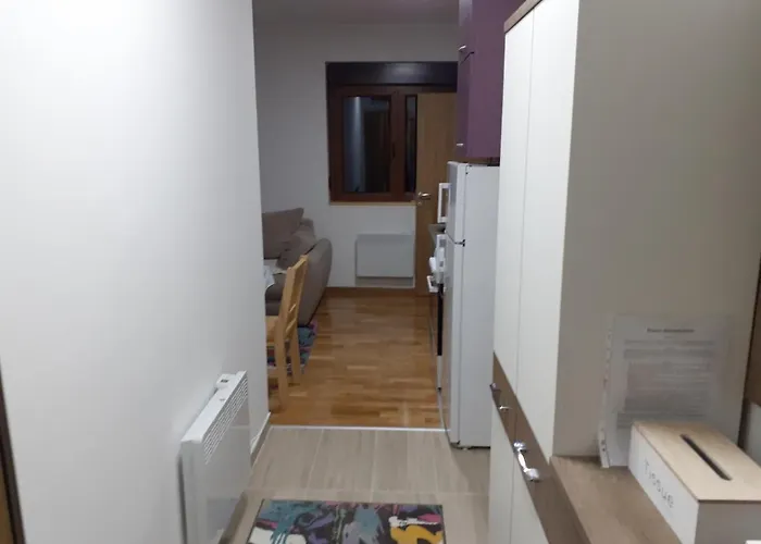 Markovic Апартаменты *